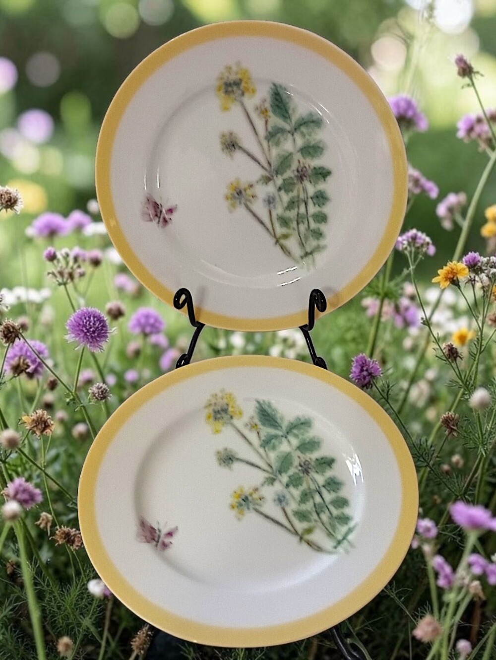 2 Williams Sonoma Flowering Herbs Salad Plates Yellow Burnet Purple Butterfly
